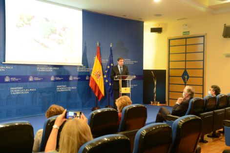 INFORME DE CONSUMO ALIMENTARIO 2019