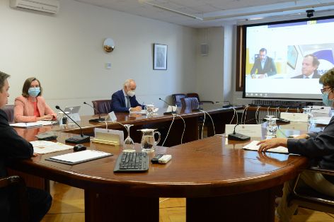En una reunión mantenida por videoconferencia