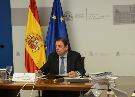Consejos consultivos de política agrícola y política pesquera