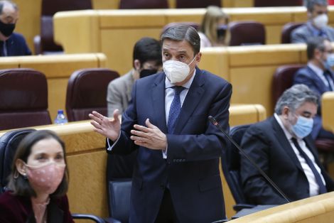 Hoy, en el Senado