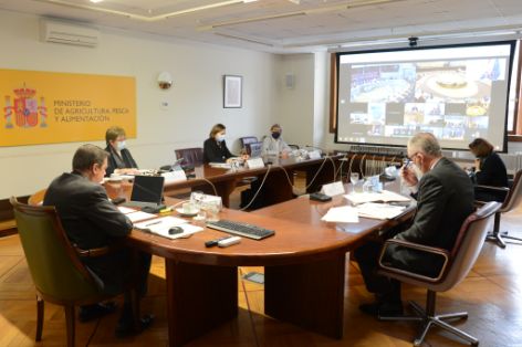 22.02.2021 Ministro Consejo UE  02