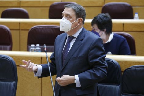 Hoy, en el Senado