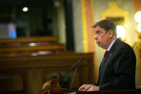 Hoy, en el Pleno del Congreso