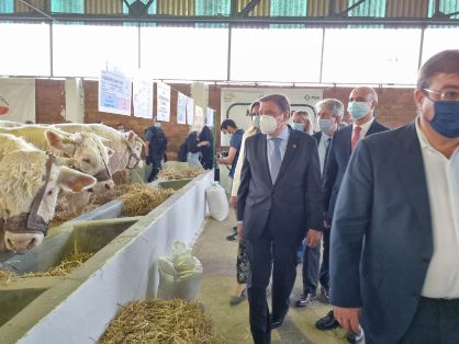 Hoy en la inauguración de la Feria Internacional Ganadera de Zafra 