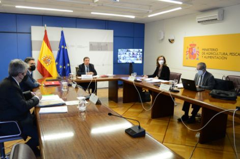 CONSEJO ASESOR DE AICA  
