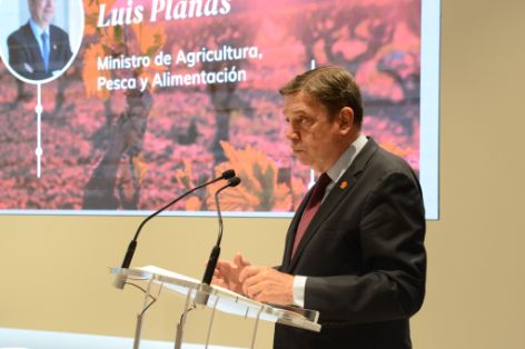 Hoy, en la presentación de la Estrategia del Sector Vitivinícola Español 2022- 2027