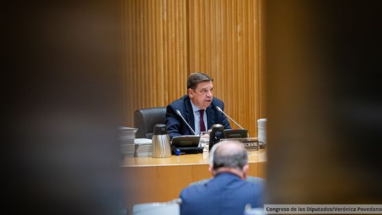 Comparecencia en comisión en el Congreso de los Diputados 