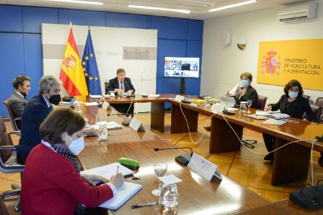 Hoy, en Consejo Consultivo