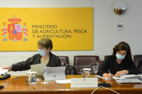 Hoy, en Consejo Consultivo