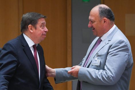 Hoy, en Bruselas