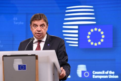 Hoy, en Bruselas
