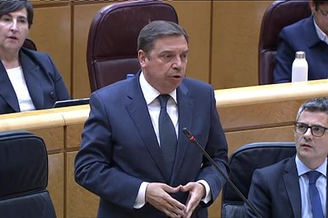 Hoy, en respuesta a una pregunta parlamentaria en el Senado