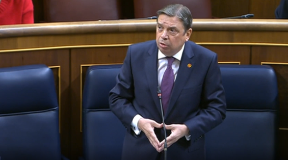 Hoy, en respuestas parlamentarias en el Congreso de los diputados 