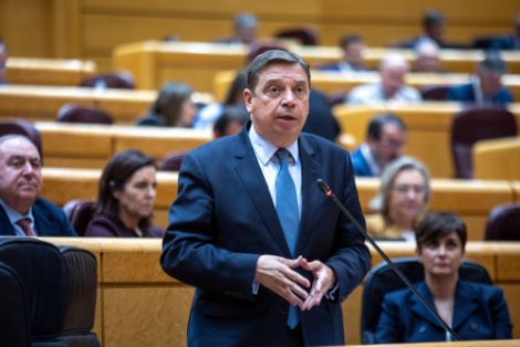 Hoy, en la sesión de control al Gobierno en el Senado