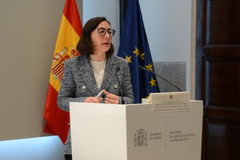 Hoy, en Madrid, en una jornada para analizar este tipo de proyectos 