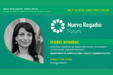 TAMAÑO IMAGEN WEB