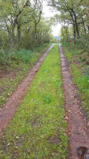 Desarrollo rural