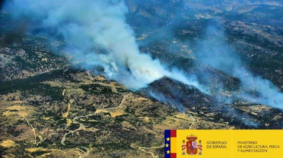 En apoyo de la Comunidad Autónoma de Castilla y León