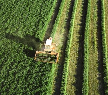 En el ámbito del Plan Estratégico de la Política Agraria Común  