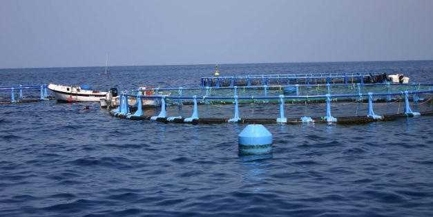 EN MÁLAGA, CON EL APOYO DEL MINISTERIO DE AGRICULTURA, PESCA Y ALIMENTACIÓN  