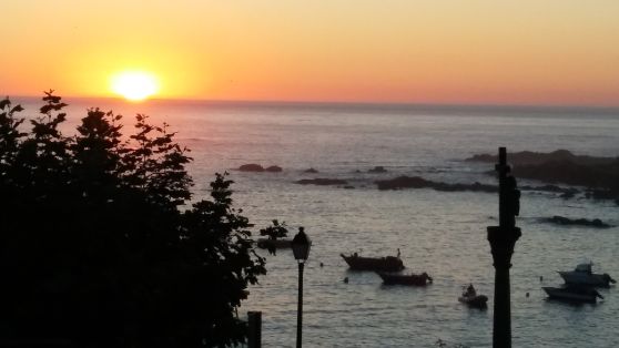 LA COMISIÓN EUROPEA HA PROPUESTO HOY UN PAQUETE DE MEDIDAS PARA MITIGAR LOS EFECTOS DEL COVID-19 EN EL SECTOR DE LA PESCA Y LA ACUICULTURA