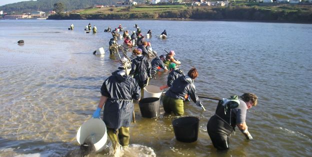 Se celebra del 5 al 7 de noviembre, en Santiago de Compostela