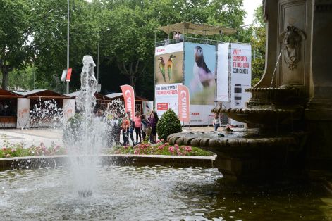 DEL 8 AL 10 DE JUNIO EN EL PASEO DEL PRADO DE MADRID 