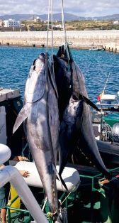 Operaciones contra la pesca ilegal, no declarada y no reglamentada