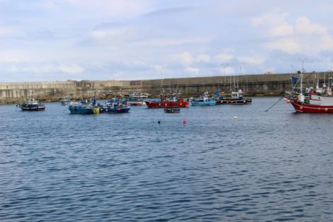 MEDIANTE RESOLUCIÓN DEL MINISTERIO DE AGRICULTURA, PESCA Y ALIMENTACIÓN, PUBLICADA HOY EN EL BOE 