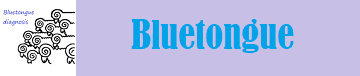 BT Diagnosis tabla