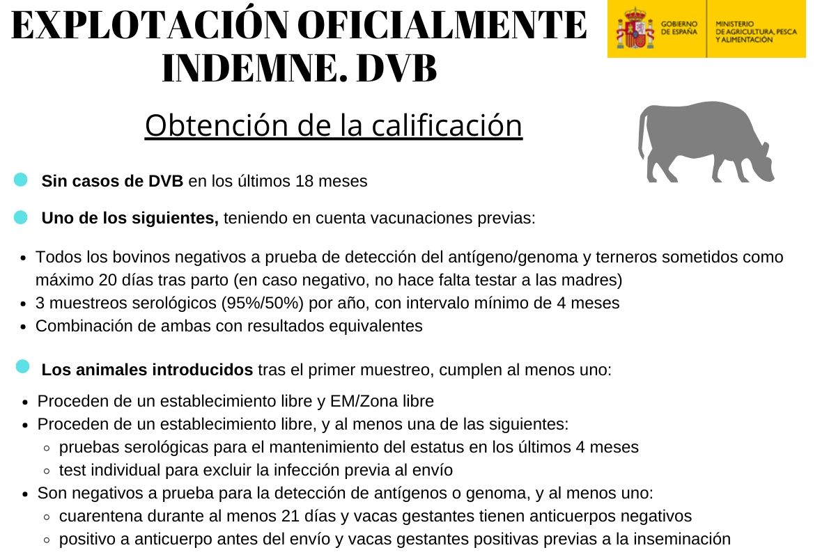 Obtención de la calificación. DVB.