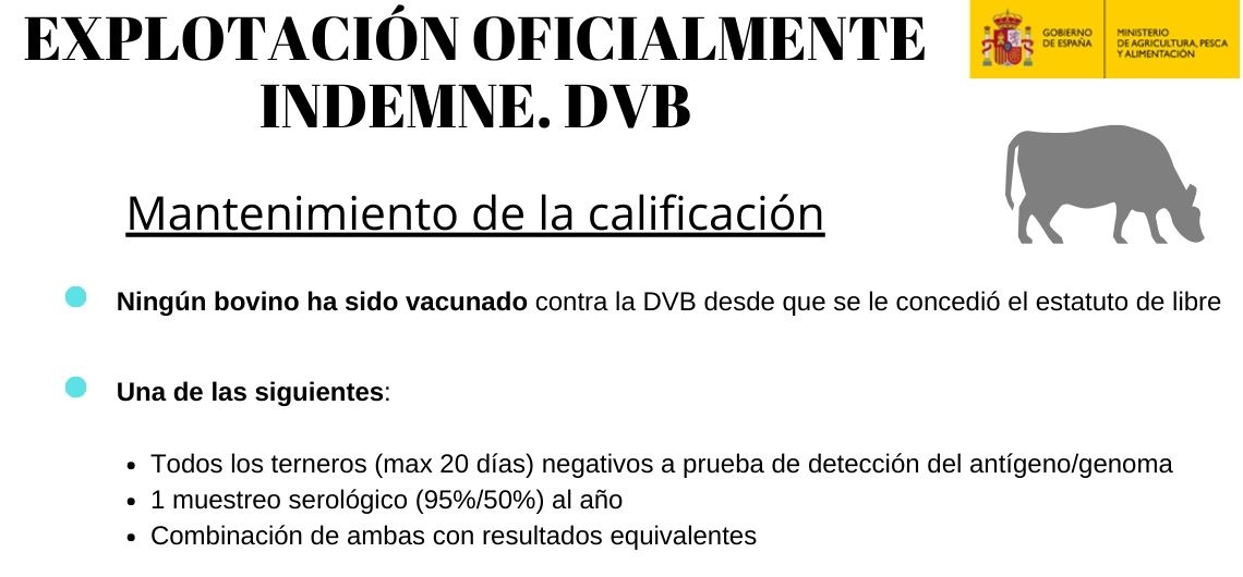 Mantenimiento de la calificación. DVB.