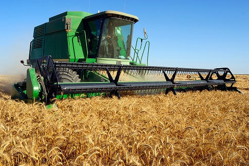Imagen agricultura