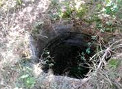 19-02-04 Localización Pozo SEPRONA con especie proteg.jpg