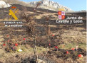 19-02-08 SEPRONA (investigado incendio forestal)_2.jpg