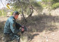 La Guardia Civil ha desarrollado la operación ‘MALAMUTE’, dirigida a esclarecer las lesiones producidas por disparos de arma de fuego, a un perro que sufrió graves lesiones en la zona del hocico, por las que tuvo que ser sacrificado. 