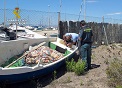En el marco del ‘Plan Anual de Control Integral de Actividades Pesqueras (P.A.C.I.A.P.)’, la Guardia Civil decomisa dos embarcaciones de pesca y sus artes utilizadas para pescar ilícitamente en el Mar Menor.