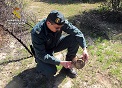 Operación ANTITOX: Operación de la Guardia Civil contra la utilización de cebos envenenados y trampas ilegales de caza. Los agentes han hallado doce ejemplares de aves envenenadas, entre ellos el Milano Real, especie especialmente protegida, así como varias trampas ilegales de caza y diversos productos tóxicos