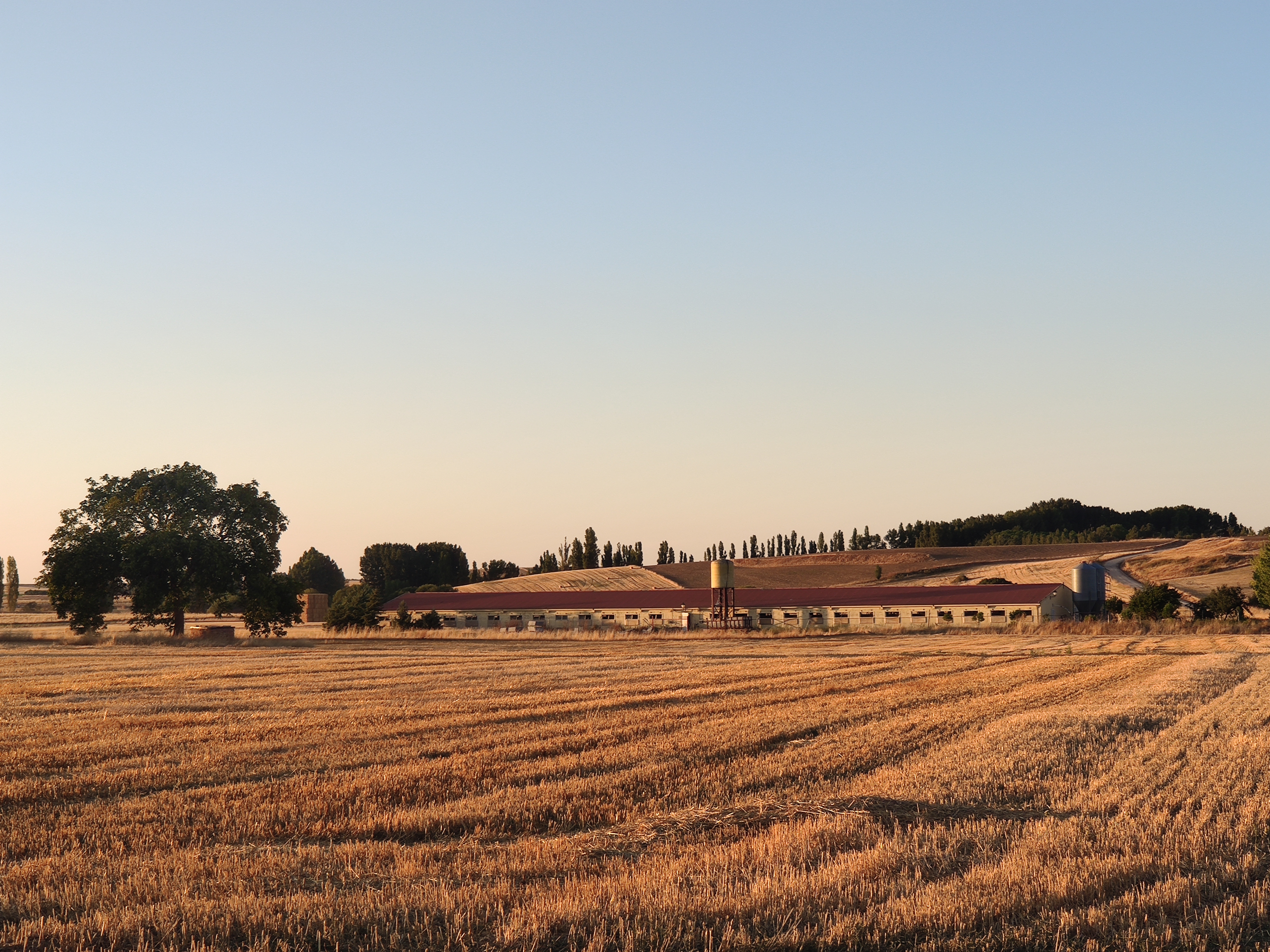 granja