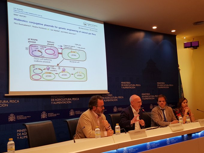 Jornada NBT