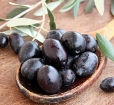foto destacados aceituna