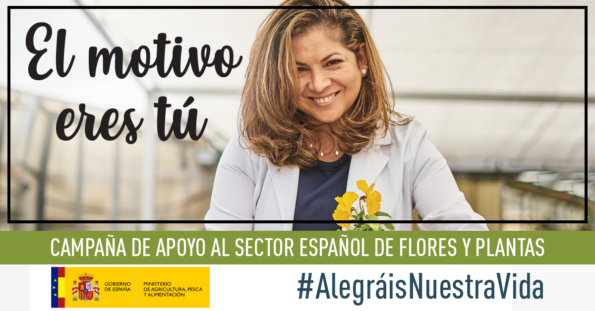 Imagen campaña