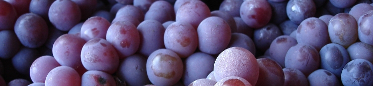 uvas tintas
