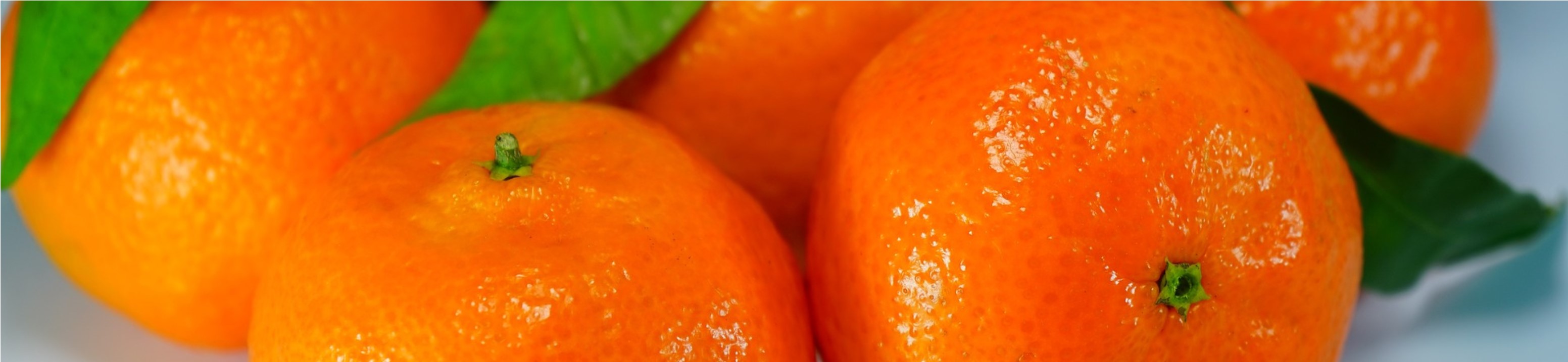 naranjas