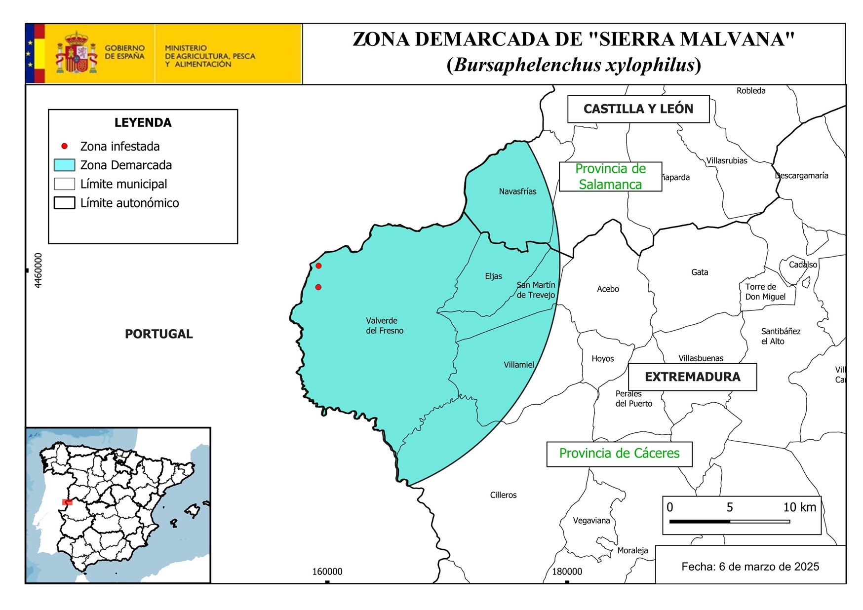 ZD malvana 2025