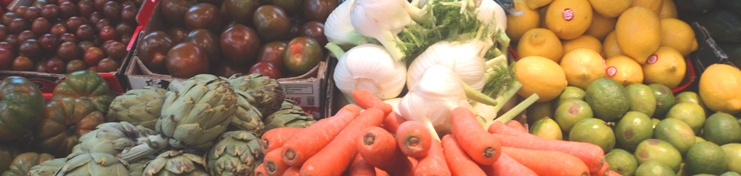 hortiespaña banner