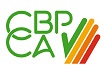 boton codigo