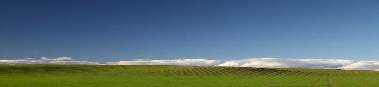 Foto 5 apaisada