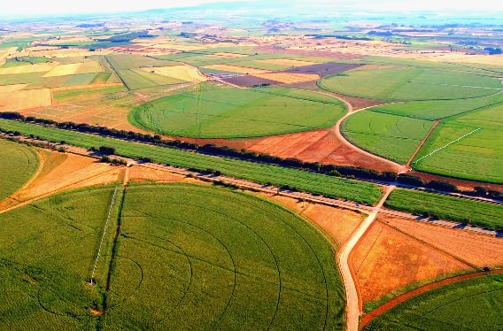 agricultura