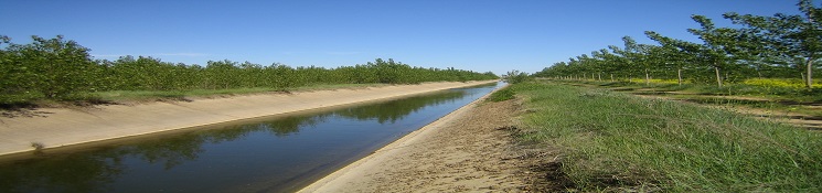 ref 60